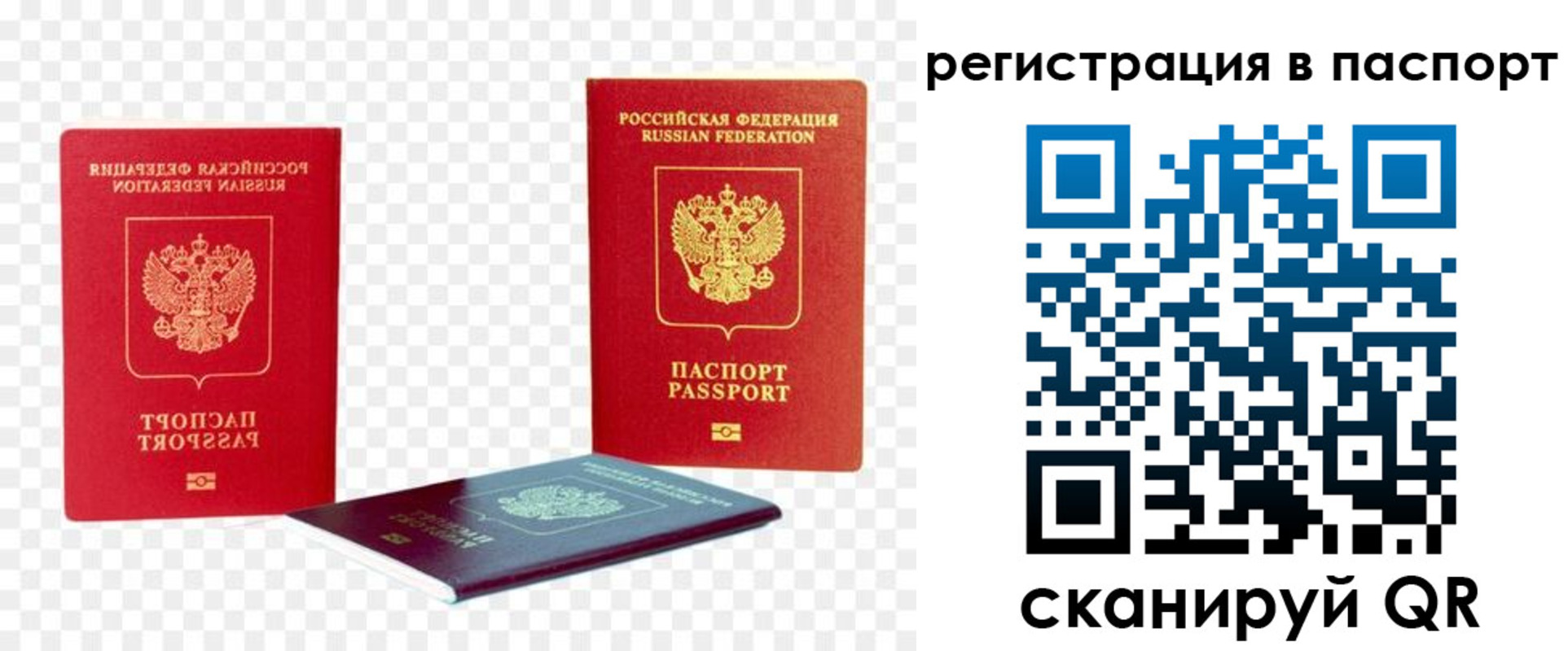 временная регистрация поиск в Сланцах